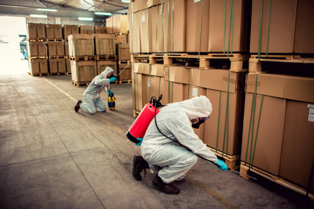 Flea Control Services in Pittsburg, TX