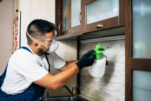 Pittsburg, TX Pest Control Company