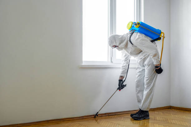 Best Residential Pest Control  in Pittsburg, TX