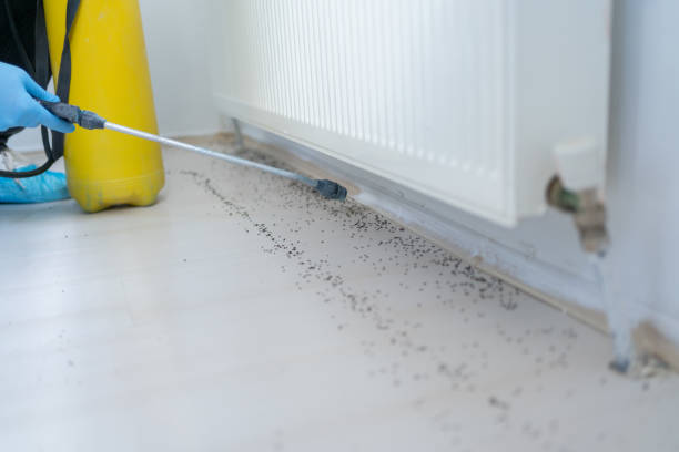 Best Wildlife Control Services  in Pittsburg, TX