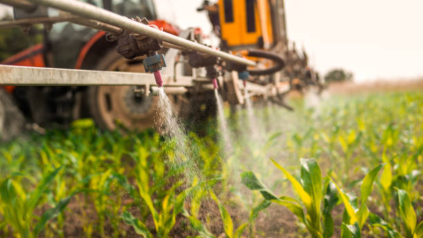 Best Best Pest Control Companies  in Pittsburg, TX