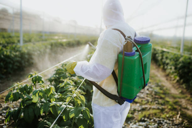 Best Affordable Pest Control Services  in Pittsburg, TX